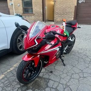 Meet your Posher, Hector